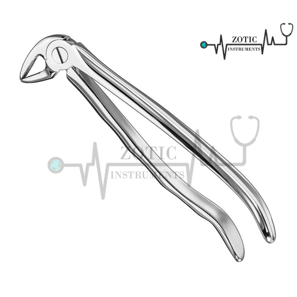 EXTRACTING FORCEPS ANATOMICALLY SHAPED HANDLE STANDARD