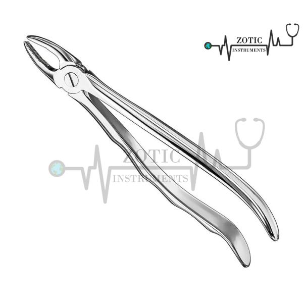 EXTRACTING FORCEPS ANATOMICALLY SHAPED HANDLE STANDARD