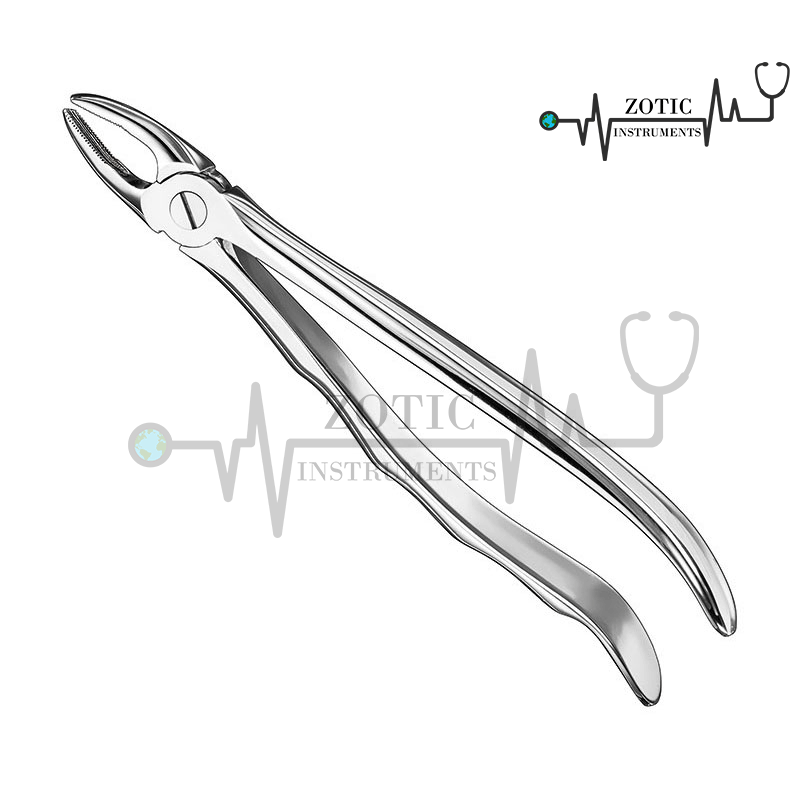 EXTRACTING FORCEPS ANATOMICALLY SHAPED HANDLE STANDARD 1 EXTRACTING FORCEPS ANATOMICALLY SHAPED HANDLE STANDARD