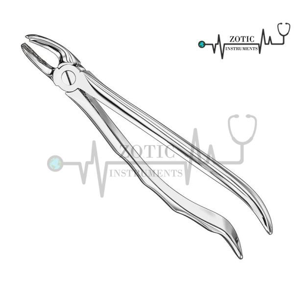EXTRACTING FORCEPS ANATOMICALLY SHAPED HANDLE STANDARD
