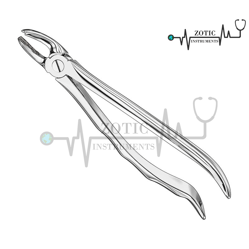 EXTRACTING FORCEPS ANATOMICALLY SHAPED HANDLE STANDARD 1 EXTRACTING FORCEPS ANATOMICALLY SHAPED HANDLE STANDARD
