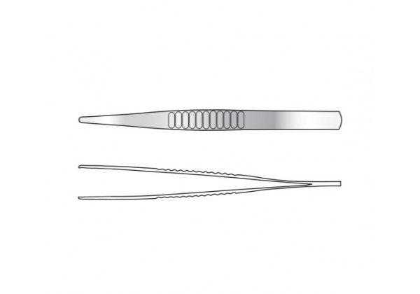 Post Mortem BLOCK END DISSECTING FORCEPS