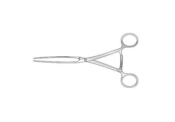 Post Mortem Lanes Bowel Clamp