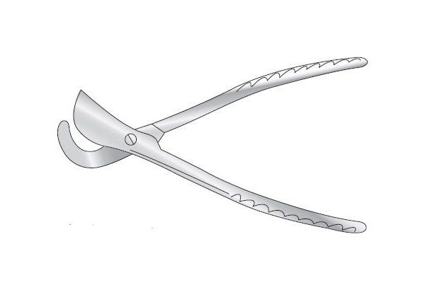 Post Mortem ESLANDER RIB SHEAR